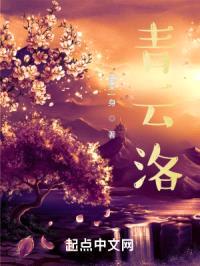 青云洛封面