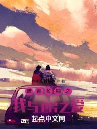 暗香盈袖之我与卫芹之爱封面