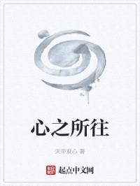 心之所往封面