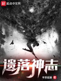 遗落神志封面
