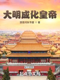 大明成化皇帝封面