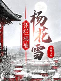 凭栏拂袖杨花雪封面