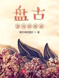 盘古混沌异闻录封面