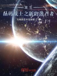 晶码战士之新的选召者封面