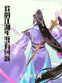 我的江湖生涯有问题封面