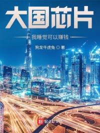 大国芯片：我睡觉可以赚钱封面
