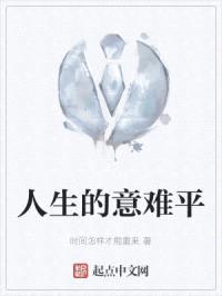 人生的意难平封面