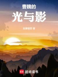 曹魏的光与影封面