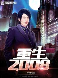 重生2008封面