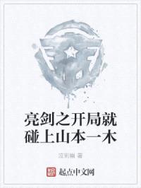 亮剑之开局就碰上山本一木封面
