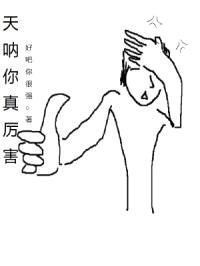 天呐你真厉害封面