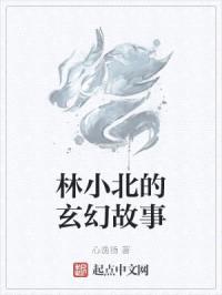 林小北的玄幻故事封面