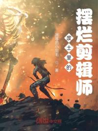 废土里的摆烂剪辑师封面