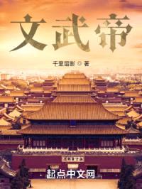 文武帝封面