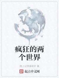 疯狂的两个世界封面