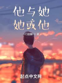 他与她她或他封面