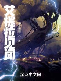 艾提拉见闻封面