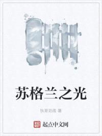 苏格兰之光封面