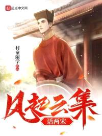 风起云集话两宋封面