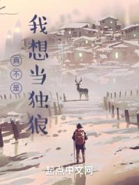 真不是我想当独狼封面
