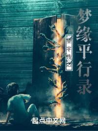 笙宇传之梦缘平行录封面