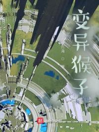 我的猴子兄弟封面