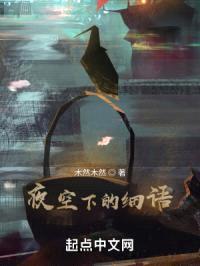 夜空下的细语封面