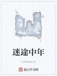 迷途中年封面