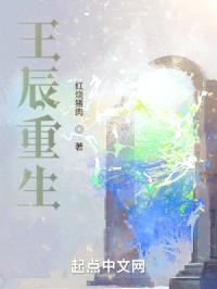 王辰重生封面