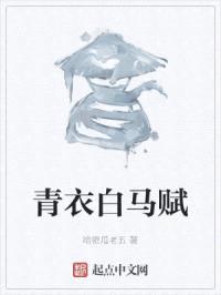 青衣白马赋封面