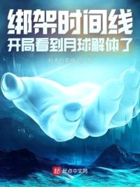 绑架时间线，开局看到月球解体了封面