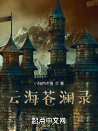 云海苍澜录封面