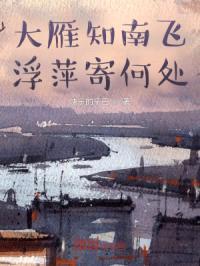 大雁知南飞，浮萍寄何处封面