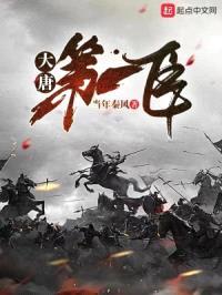 大唐第一臣封面