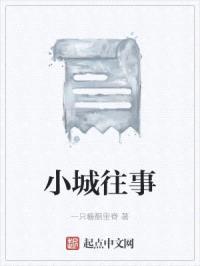 小城往事封面