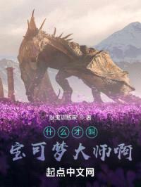 什么才叫宝可梦大师啊封面