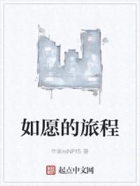 如愿的旅程封面