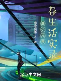 鹿小元青春生活实录封面