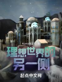 理想世界的另一侧封面