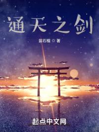 通天之剑封面