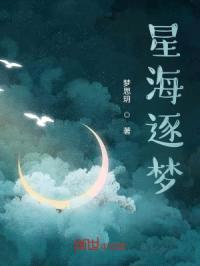 星海逐梦封面