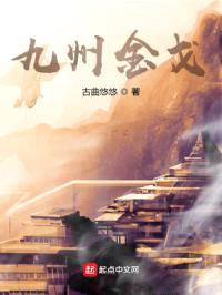 九州金戈封面