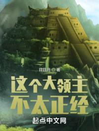 这个大领主不太正经封面