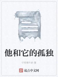 他和它的孤独封面