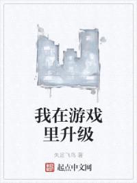 我在游戏里升级封面