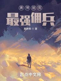 赛博朋克：北加州最强佣兵封面