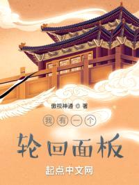 我有一个轮回面板封面
