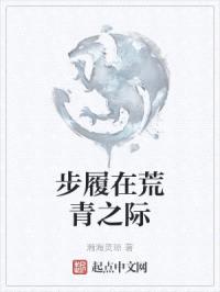 步履在荒青之际封面