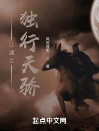 江湖之独行天骄封面