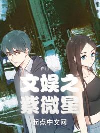 文娱之紫微星封面